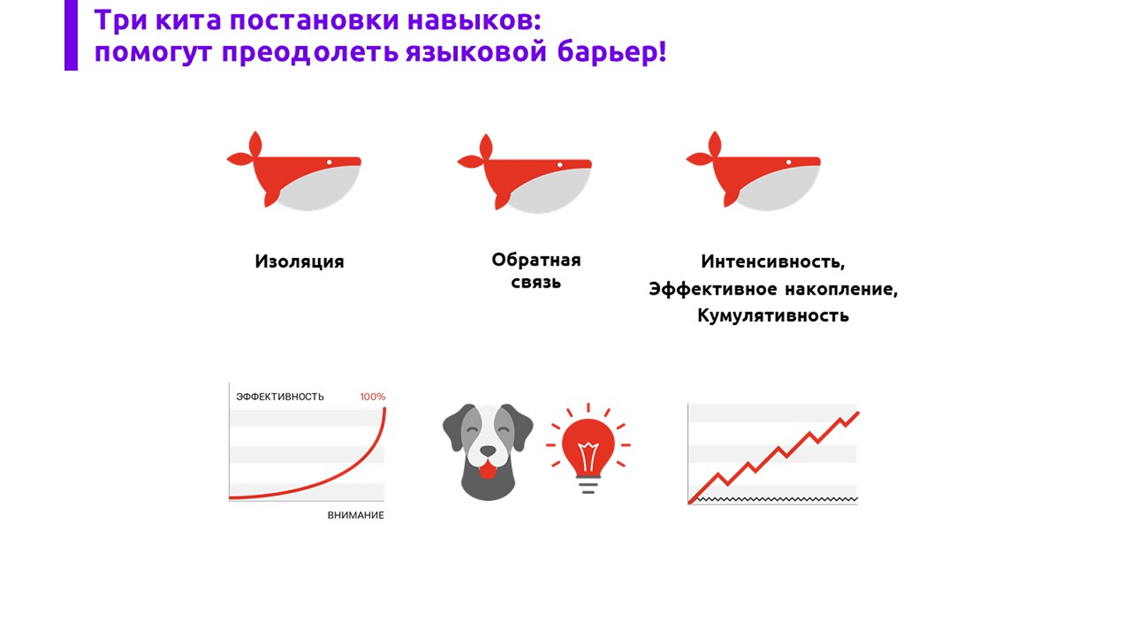 screen-slide-lesson
